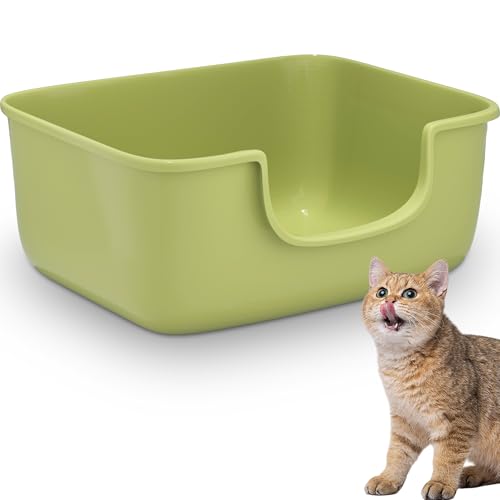AVIUIA Katzentoilette von AVIUIA