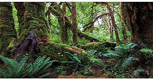 AWERT 121,9 x 50,8 cm Tropischer Wald Terrarium Hintergrund Grün Riesiger Baum Reptilien Habitat Hintergrund Regenwald Aquarium Hintergrund Durable Polyester Hintergrund von AWERT