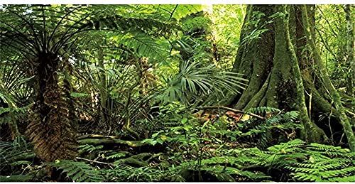 AWERT 121,9 x 50,8 cm Wald-Terrarium Hintergrund Stein Grün Riesiger Baum Reptilien Habitat Hintergrund Tropischer Regenwald Aquarium Hintergrund Durable Polyester Hintergrund von AWERT