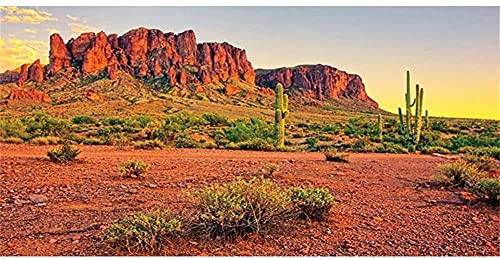 AWERT 121,9 x 61 cm Reptilien-Habitat-Hintergrund Himmel Oase Berg Kaktus Sonne und Wüste Terrarium Hintergrund aus strapazierfähigem Polyester von AWERT