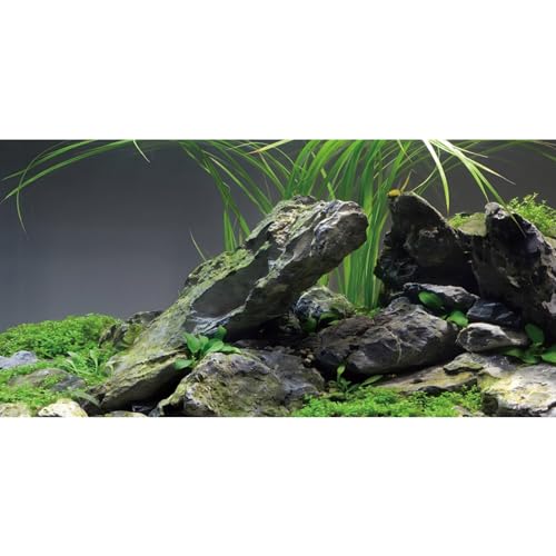 AWERT 121,9 x 61 cm Stein-Aquarium-Hintergrund, Stein, Wasserpflanze, Flussbett und See, Seetang, Aquarium-Hintergrund, Vinyl-Hintergrund von AWERT