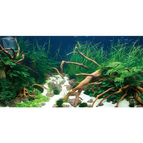 AWERT 152,4 x 61 cm Polyester Unterwassergras Pflanzen Aquarium Hintergrund Wasserpflanzen Stein Flussbett und Totholz Stein Fisch Tank Hintergrund von AWERT