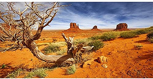 AWERT 61 x 40,6 cm Reptilien-Habitat-Hintergrund Orange Desert Terrarium Hintergrund Durable Polyester Hintergrund von AWERT