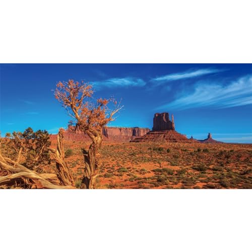AWERT 76,2 x 45,7 cm blauer Himmel-Oase, Kaktus, Sonne und Wüstenterrarium, Hintergrund für Reptilien, Lebensraum von AWERT