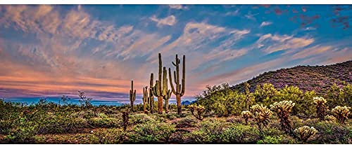 AWERT 91,4 x 45,7 cm Terrarium-Hintergrund blauer Himmel Wolke riesige Kaktus Oasis Gobi Reptil Habitat Hintergrund Vinyl von AWERT