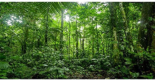 AWERT 91,4 x 45,7 cm Terrarium-Hintergrund tropisches Aquarium Hintergrund grün riesiger Baum Regenwald Reptilien Habitat Hintergrund von AWERT