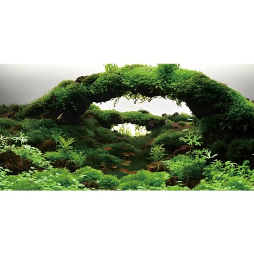 AWERT Aquarium-Hintergrund, 121,9 x 45,7 cm, grüner Algenstein, Aquarium-Hintergrund, Wasserpflanze, Flussbett und See, Aquarium-Hintergrund, Vinyl-Hintergrund von AWERT