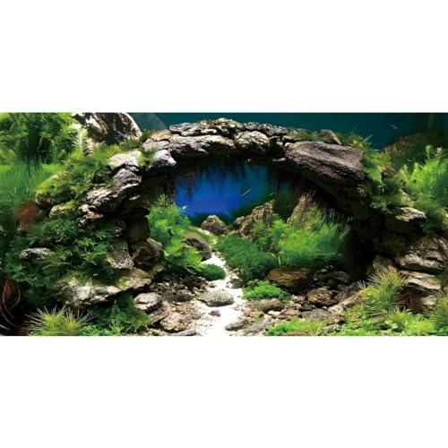 AWERT Aquarium-Hintergrund, 61 x 30,5 cm, für Flussbett und See, Vinyl-Hintergrund, Wasserpflanze, Aquarium-Hintergrund von AWERT