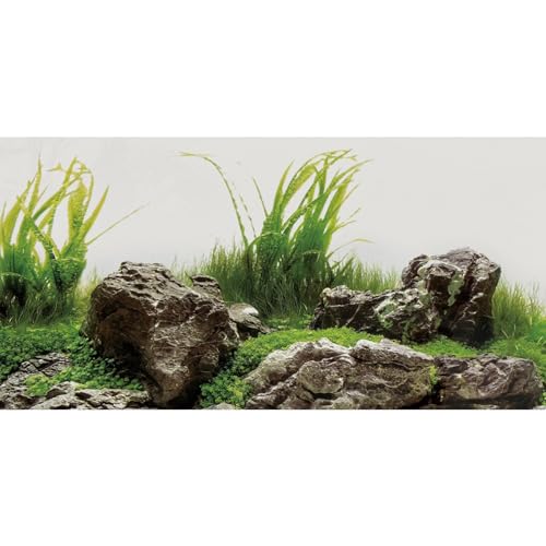 AWERT Aquarium-Hintergrund, 61 x 40,6 cm, Meeresalgen, Wasserpflanze, Flussbett und See, Aquarium-Hintergrund, Stein, Aquarium-Hintergrund, Vinyl-Hintergrund von AWERT