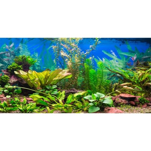 AWERT Aquarium-Hintergrund, 76,2 x 30,5 cm, Vinyl von AWERT