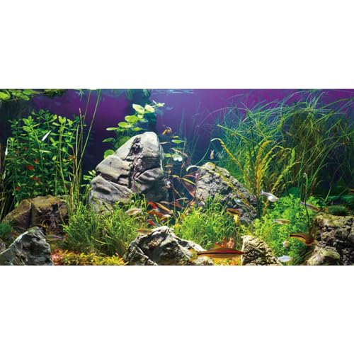 AWERT Aquarium-Hintergrund, Seegras-Hintergrund, Stein, Flussbett und See, Vinyl-Hintergrund, 121,9 x 45,7 cm von AWERT