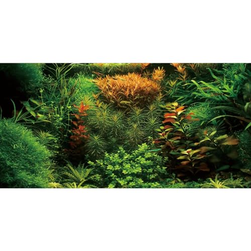 AWERT Aquarium-Hintergrund, Seegras-Hintergrund, Wasserpflanze, Flussbett und See, Vinyl-Hintergrund, 121,9 x 61 cm von AWERT