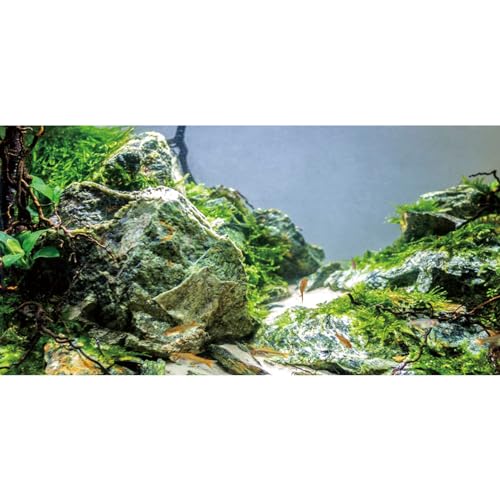 AWERT Aquarium-Hintergrund, Stein, Aquarium-Hintergrund, Wasserpflanze, Flussbett und See, Vinyl-Hintergrund, 121,9 x 61 cm von AWERT