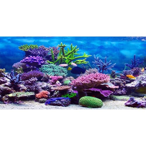 AWERT Aquarium-Hintergrund, Vinyl, Unterwasser-Thema, 121,9 x 45,7 cm, bunt, Koralle, tropische Fische, Unterwasserwelt, Aquarium-Hintergrund AWERT Aquarium-Hintergrund, Vinyl, Unterwasser-Thema, 121,9 x 45,7 cm, bunt, Koralle, tropische Fische, Unterwasserwelt, Aquarium-Hintergrund von AWERT