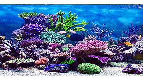 AWERT Aquarium-Hintergrund, Vinyl, Unterwasser-Thema, 182,9 x 61 cm, bunt, Koralle, tropische Fische, Unterwasserwelt, Aquarium-Hintergrund von AWERT