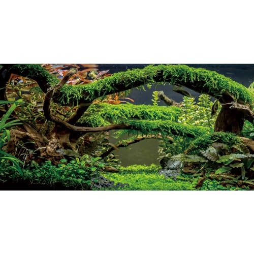 AWERT Aquarium-Hintergrund, Zweige Terrarium, Hintergrund, Wasserpflanze, Flussbett und See, Vinyl-Hintergrund, 182,9 x 45,7 cm von AWERT