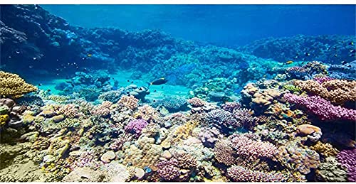 AWERT Aquarium-Hintergrund Korallenriff, tropische Fische, Unterwasser-Hintergrund, 91,4 x 45,7 cm, strapazierfähiger Polyester-Hintergrund von AWERT