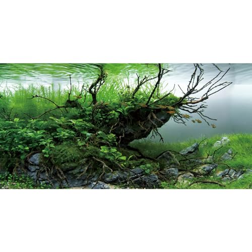 AWERT Hintergrund für Aquarien, 121,9 x 45,7 cm, Algen, Aquarium-Hintergrund, Flussbett und See, Aquarium-Hintergrund, Vinyl-Hintergrund von AWERT