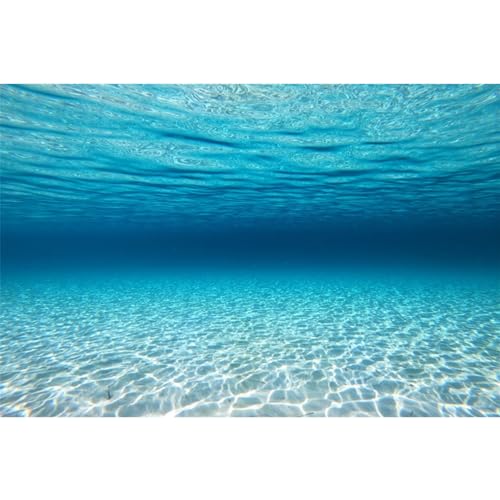 AWERT Hintergrund für Aquarien, 122 x 50,8 cm, Polyester, Unterwasser-Hintergrund AWERT Hintergrund für Aquarien, 122 x 50,8 cm, Polyester, Unterwasser-Hintergrund von AWERT