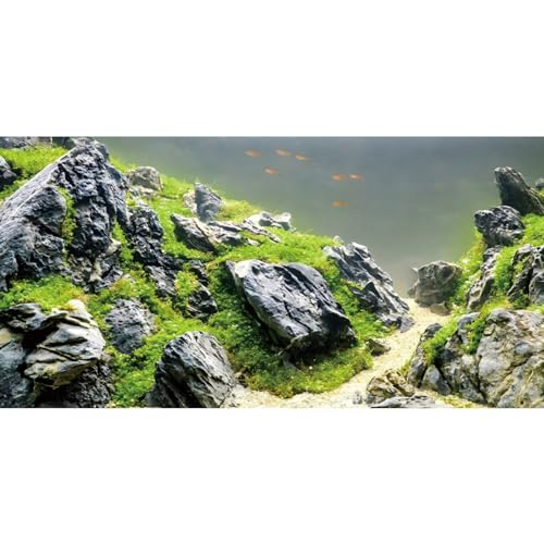 AWERT Hintergrund für Aquarien, 122 x 50 cm, für Wasserpflanzen, Flussbett und See, Aquarium-Hintergrund, Meeresalgen, Vinyl, Hintergrund von AWERT