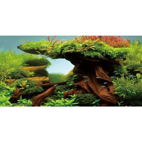 AWERT Hintergrund für Aquarien, 182,9 x 61 cm, Algen, Aquarium-Hintergrund, Flussbett und See, Vinyl-Hintergrund von AWERT
