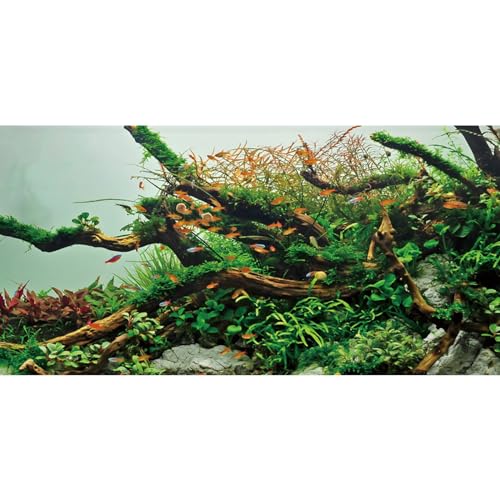 AWERT Hintergrund für Aquarien, 183 x 61 cm, Grünalgen, Aquarium-Hintergrund, Flussbett und See, Vinyl-Hintergrund von AWERT