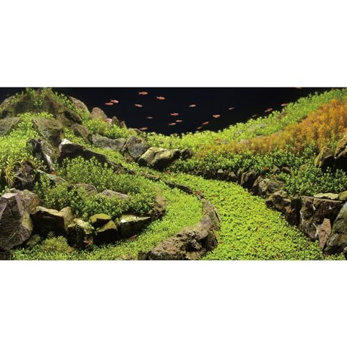 AWERT Hintergrund für Aquarien, 61 x 40,6 cm, Vinyl, Hintergrund für Wasserpflanzen, Flussbett und See, Aquarium, Hintergrund von AWERT