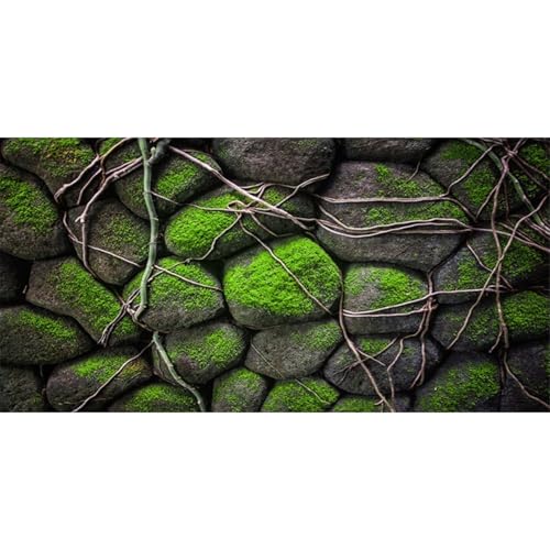 AWERT Hintergrund für Aquarien, 76,2 x 45,7 cm, Steine, Aquarium, Hintergrund für Fels-Terrarium, Vinyl AWERT Hintergrund für Aquarien, 76,2 x 45,7 cm, Steine, Aquarium, Hintergrund für Fels-Terrarium, Vinyl von AWERT