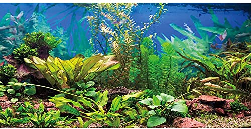 AWERT Hintergrund für Aquarien, 91,4 x 61 cm, Vinyl von AWERT