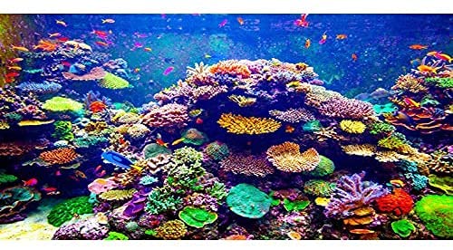 AWERT Hintergrund für Aquarien, Untersee-Motiv, 152,4 x 61 cm, Vinyl, bunt, Koralle, tropische Fische, Unterwasserwelt, Aquarium-Hintergrund von AWERT