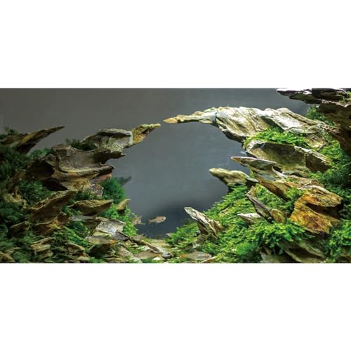 AWERT Hintergrund für Aquarium, 183 x 45,7 cm, für Aquarium, Wasserpflanze, Flussbett und See, Vinyl-Hintergrund von AWERT