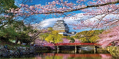 AWERT Hintergrund für Aquarium, 61 x 40,6 cm, Frühling, rosa Blumen, Kirsche, japanischer Tempel, Aquarium, Vinyl-Hintergrund von AWERT