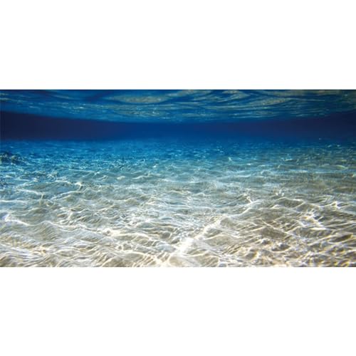 AWERT Hintergrund für Aquarium, 76,2 x 30,5 cm, Unterwasser-Hintergrund, Unterwasser-Thema, Aquarium-Hintergrund von AWERT
