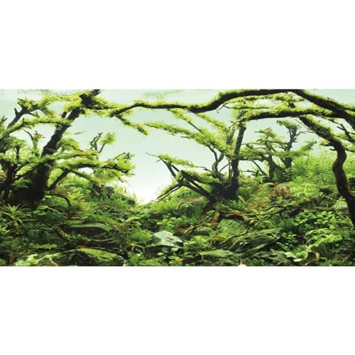 AWERT Hintergrund für Aquarium, 91,4 x 45,7 cm, Chlorella, Aquarium-Hintergrund, Wasserpflanze, Flussbett und See, Aquarium-Hintergrund, Vinyl-Hintergrund von AWERT