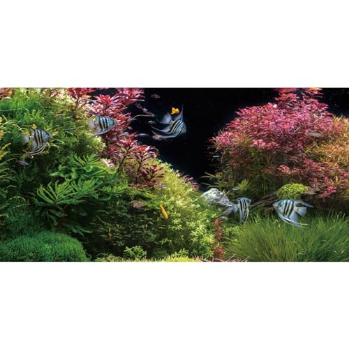 AWERT Hintergrund für Aquarium, Seegras, 182,9 x 45,7 cm, Rosa, Wasserpflanze, Flussbett und See, Vinyl-Hintergrund von AWERT