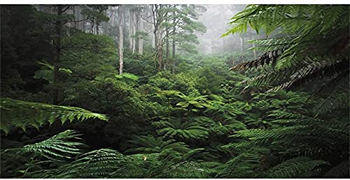 AWERT Hintergrund für Terrarium, Motiv: Nebelwald, grüner Baum, Reptilien, Habitat, tropischer Regenwald, Aquarium-Hintergrund, 152,4 x 61 cm von AWERT