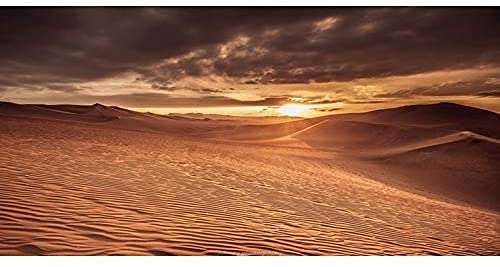 AWERT Hintergrund für Terrarium, Sonne und Wüste, 182,9 x 40,6 cm, blauer Himmel, Orange, Sand, Reptilien-Lebensraum, Vinyl von AWERT