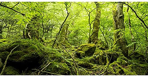 AWERT Hintergrund für Terrarium, tropischer Regenwald, Reptilien-Lebensraum, grün, groß, Baumstein, Wald, Aquarium, Hintergrund aus strapazierfähigem Polyester, 121,9 x 61 cm von AWERT