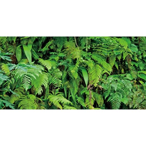 AWERT Hintergrund für Tropische Terrarien, Blätter, Aquarium, Regenwald, Reptilien, Lebensraum, Vinyl, 121,9 x 45,7 cm AWERT Hintergrund für Tropische Terrarien, Blätter, Aquarium, Regenwald, Reptilien, Lebensraum, Vinyl, 121,9 x 45,7 cm von AWERT