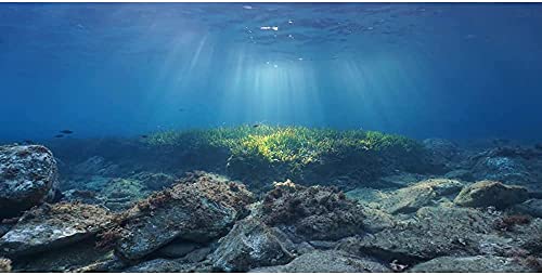 AWERT Ocean Floor Fish Tank Hintergrund Unterwasserstein Aquarium Hintergrund 76,2 x 30,5 cm Vinyl von AWERT
