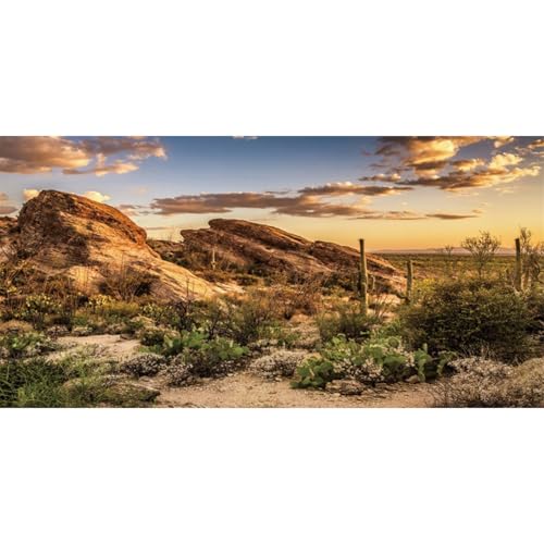 AWERT Reptile Habitat Hintergrund Blauer Himmel Oase Kaktus Sonne und Wüste Terrarium Hintergrund 91,4 x 45,7 cm Durable Polyester Hintergrund von AWERT