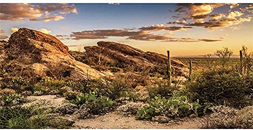 AWERT Reptilien-Habitat-Hintergrund, blauer Himmel-Oasis, Kaktus, Sonne und Wüsten-Terrarium, Hintergrund 76,2 x 30,5 cm, robuster Polyester-Hintergrund von AWERT