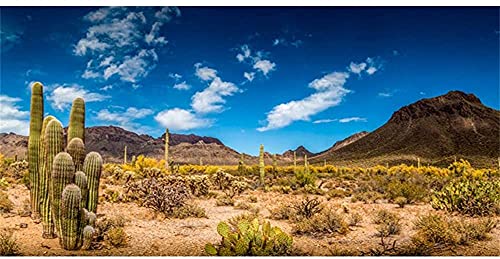 AWERT Reptilien-Hintergrund, 76,2 x 45,7 cm, blauer Himmel, Oase, Kaktus, Wüstenterrarium, Vinyl von AWERT