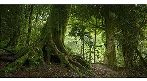 AWERT Tiefer Wald-Terrarium-Hintergrund, tropischer Aquarium-Hintergrund, neblig, grün, riesige Bäume, Reptilien-Lebensraum, Hintergrund, 183 x 40 cm von AWERT