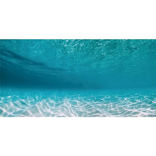 AWERT Unterwasser-Aquarium-Hintergrund, 121,9 x 61 cm, Hintergrund für Pool, Ozean, Boden, Aquarium-Hintergrund, Unterwasser-Hintergrund von AWERT