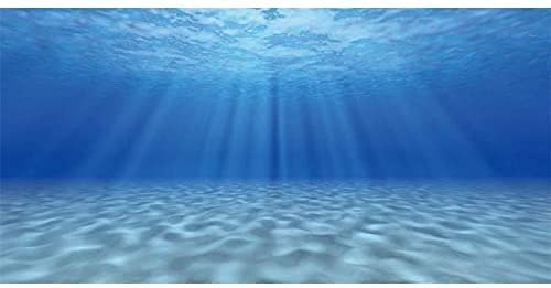 AWERT Unterwasser-Hintergrund für Aquarien, 76,2 x 45,7 cm von AWERT
