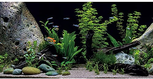 AWERT Vinyl-Hintergrund für Aquarien, Unterwasserpflanze, Stein, Flussbett und See, 152,4 x 61 cm von AWERT