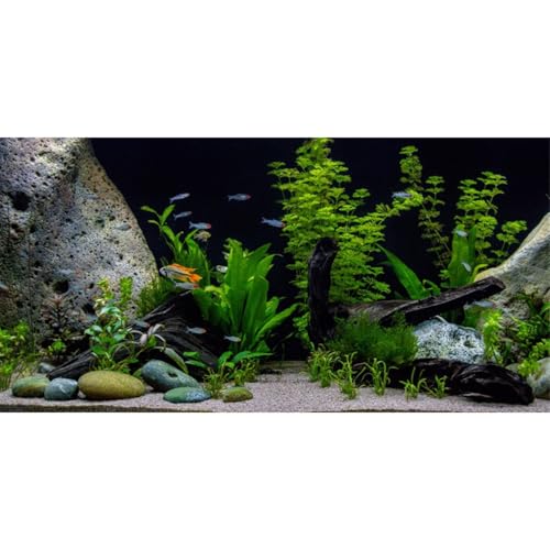 AWERT Vinyl Underwater Aquatic Plant Fish Tank Background Stone River Bed & Lake Aquarium Background 30x18 inches von AWERT
