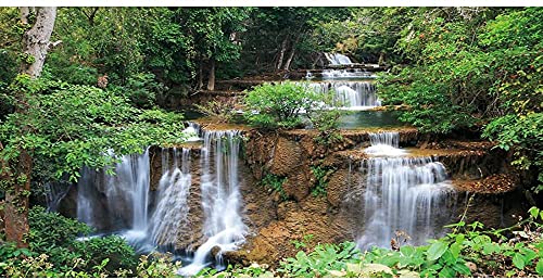 AWERT Wasserfall-Terrarium-Hintergrund, Regenwald, Aquarium-Hintergrund, tropische Pflanzen, grüner Baum, Reptilien-Lebensraum, Vinyl, 91,4 x 61 cm von AWERT