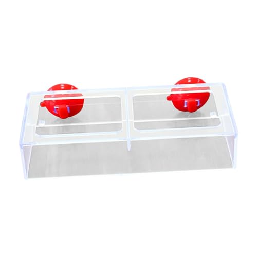 ＡＷＨＡＯ Fisch Fütterungsring Fisch Aquarium Station Float Food Tablett Feeder Aquarium Accessoire, L von ＡＷＨＡＯ
